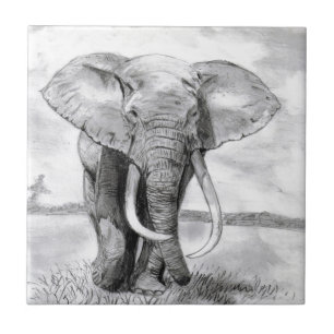 afrikansk elefant som med blyerts drar design kakelplatta