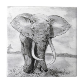afrikansk elefant som med blyerts drar design kakelplatta