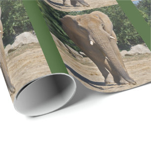 Afrikansk elefant som slår in papper presentpapper