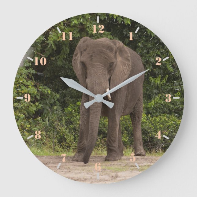 Afrikansk elefant stor klocka (Framsida)