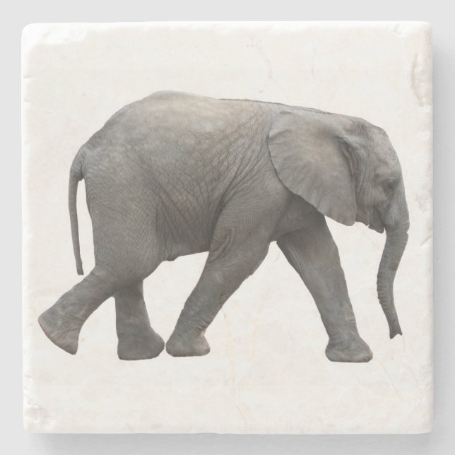 Afrikansk elefant underlägg sten (Framsidan)
