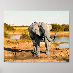 Afrikansk elefantaffisch poster