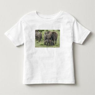 Afrikansk elefantflock, Loxodonta africana, 2 T-shirt