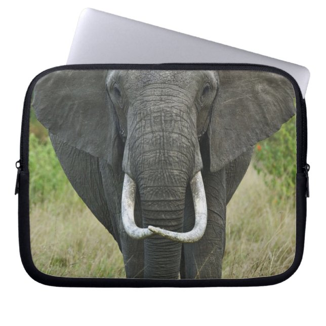 Afrikansk elefantloxodonta, Masai Mara viltreserva Laptop Fodral (Framsidan)