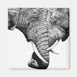 Afrikansk elefantmagnet magnet