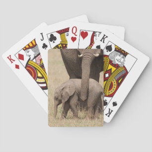Afrikansk elefantunge med mamma casinokort