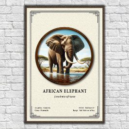 Afrikansk elefantzoologi-serie poster