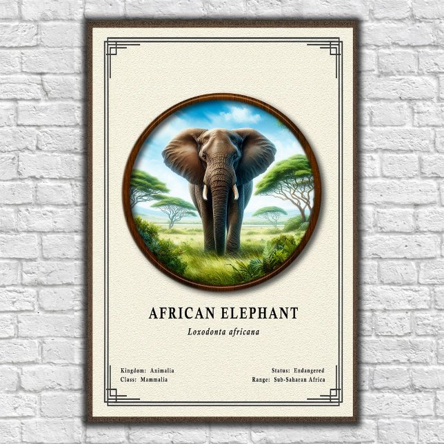 Afrikansk elefantzoologisk serie poster (Skapare uppladdad)