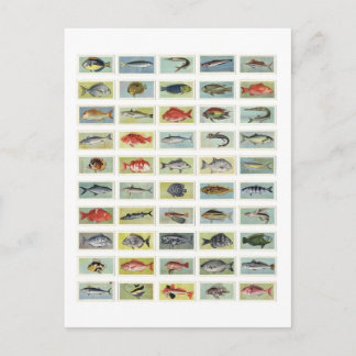 Afrikansk fisk vykort