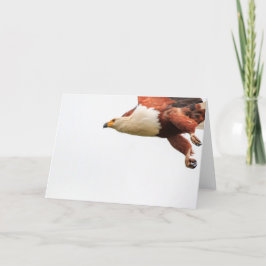 Afrikansk fiskörn i flyg helgkort