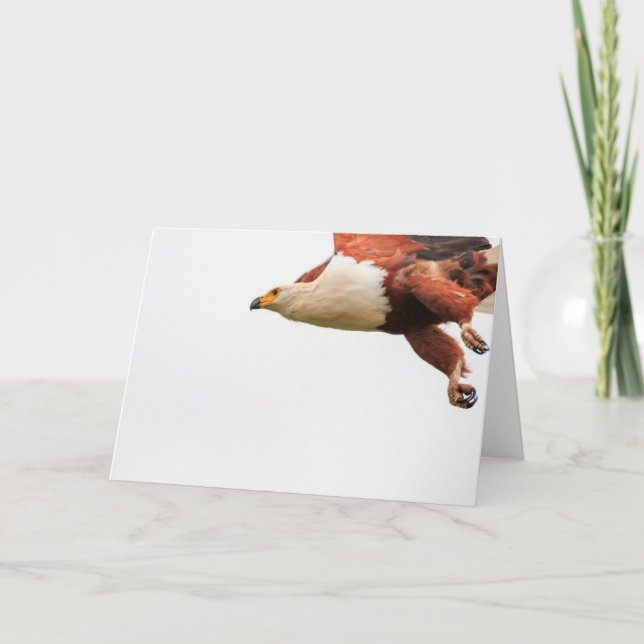 Afrikansk fiskörn i flyg helgkort (Framsida)