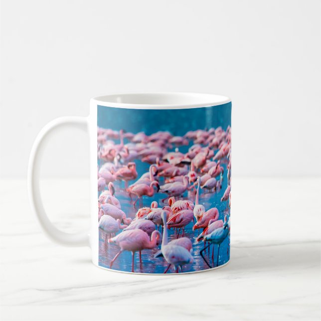 Afrikansk flamingos. En grupp flamingor står i Kaffemugg (Vänster)
