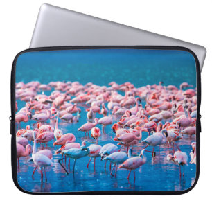 Afrikansk flamingos. En grupp flamingor står i Laptop Fodral