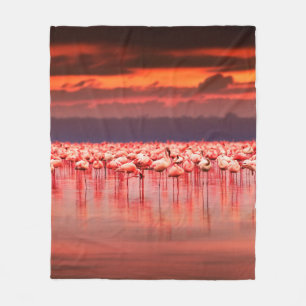 Afrikansk flamingos i sjö över vackra solljus fleecefilt