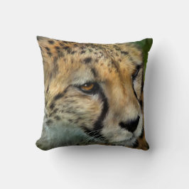 Afrikansk Gepard Porträtt Konst Design Kudd Kudde
