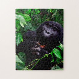 Afrikansk gorilla pussel