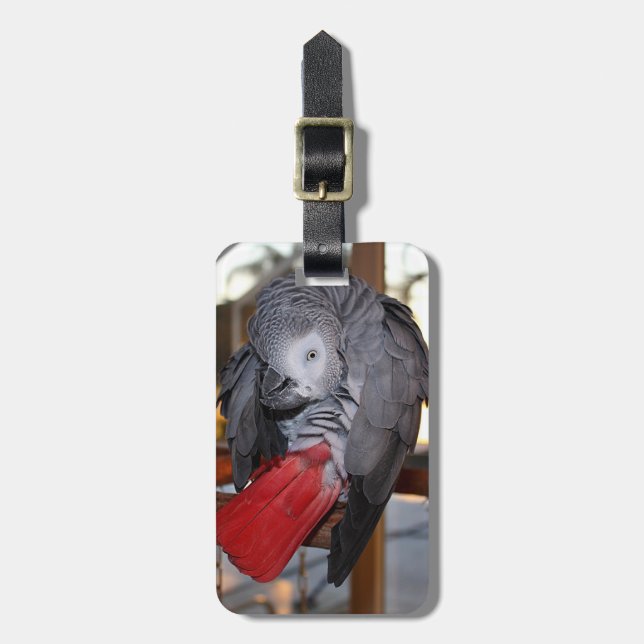 Afrikansk grå färgpapegoja för böjlig Kongofloden Bagagebricka (Vertikal Framsida)