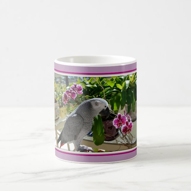 Afrikansk grå färgpapegoja med Orchids Magisk Mugg (Center)
