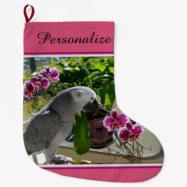 Afrikansk grå färgpapegoja med Orchids Stor Julstrumpa (Framsidan)