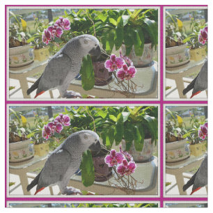 Afrikansk grå färgpapegoja med Orchids Tyg