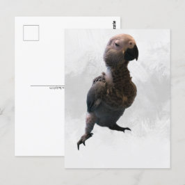 Afrikansk grå papegoja, Postcrossing Postkort Vykort