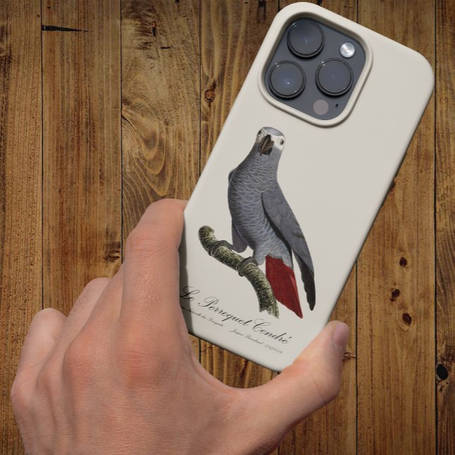 Afrikansk grå papegoja, Psittacus erithacus, vinta (Le Perroquet Cendre - 19th century illustration. iPhone Case)