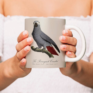 Afrikansk grå papegoja, Psittacus erithacus, vinta Kaffemugg