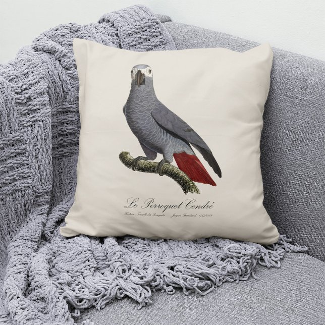 Afrikansk grå papegoja, Psittacus erithacus, vinta Kudde (Le Perroquet Cendre - 19th century illustration. Throw Pillow)