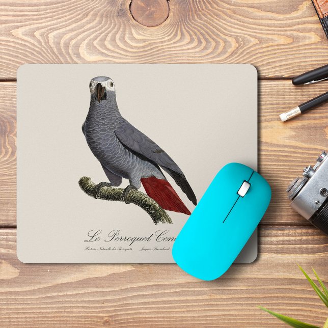 Afrikansk grå papegoja, Psittacus erithacus, vinta Musmatta (Le Perroquet Cendre - 19th century illustration. Mouse Pad)