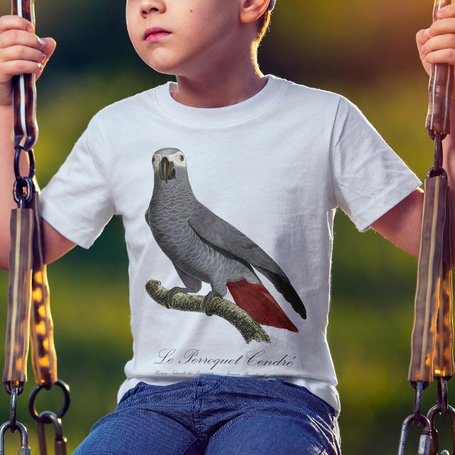 Afrikansk grå papegoja, Psittacus erithacus, vinta T Shirt (Le Perroquet Cendre - 19th century illustration. T-Shirt basic boy)