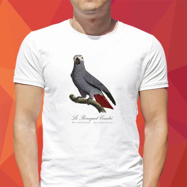 Afrikansk grå papegoja, Psittacus erithacus, vinta T Shirt (Le Perroquet Cendre - 19th century illustration. T-Shirt men)