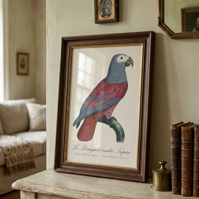 Afrikansk grå papegoja Röd faktor Psittacus Eritha Fototryck (African Grey Parrot Red Factor Psittacus Erithacus. Photo Print)