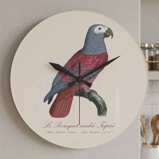 Afrikansk grå papegoja Röd faktor Psittacus Eritha Stor Klocka (African Grey Parrot Red Factor Psittacus Erithacus. Large Clock)