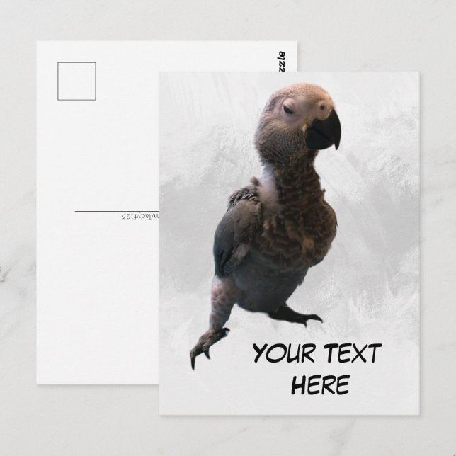 Afrikansk grått-papegoja, vykort för postkorsning (Fram/baksida)