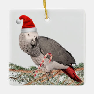 Afrikansk Grått Parrot Ceramic jul Ornament