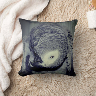Afrikansk Grått Parrot Cute Bird 2   Kudde