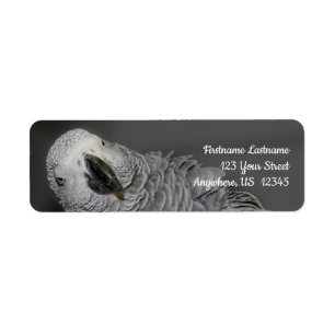 Afrikansk Grått Parrot Cute Bird Adress Returadress Etikett