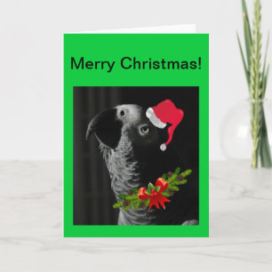 Afrikansk Grått Parrot God jul Card Helgkort