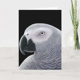 Afrikansk Grått Parrot-hälsningskort Kort