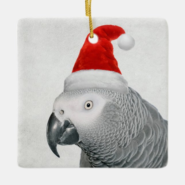 Afrikansk Grått Parrot jul Ornament (Framsida)