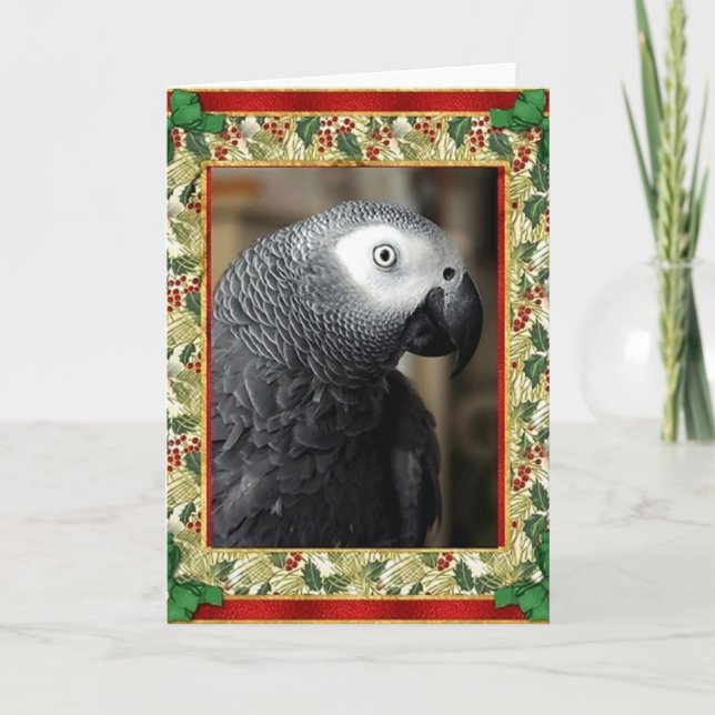 Afrikansk Grått Parrot-julkort Helgkort (Framsida)