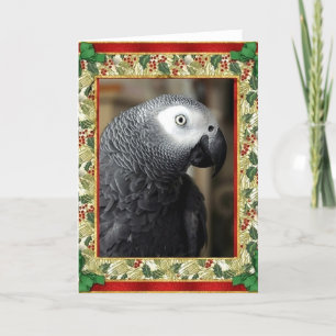 Afrikansk Grått Parrot-julkort Helgkort