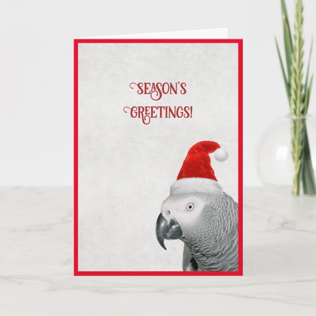 Afrikansk Grått Parrot-julkort Helgkort (Framsida)
