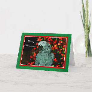 Afrikansk Grått Parrot-målning med Julgran Helgkort