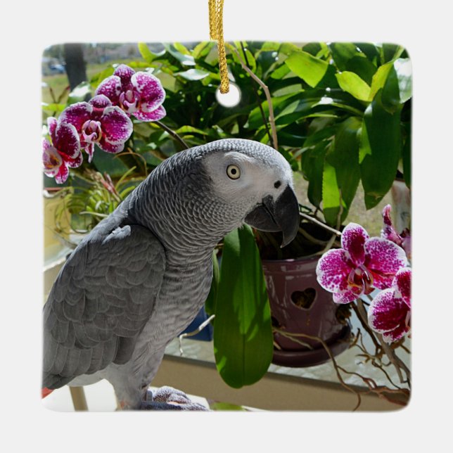 Afrikansk Grått Parrot med Orchids Julgransprydnad Keramik (Framsida)