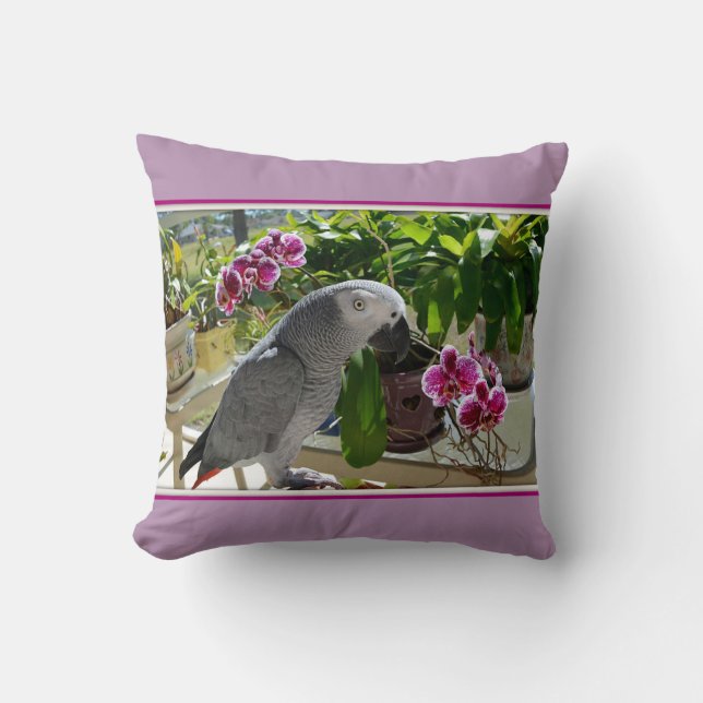 Afrikansk Grått Parrot med Orchids Kudde (Framsida)