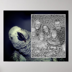 Afrikansk Grått Parrot Ram Lägg till ditt foto Poster