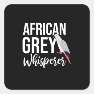 Afrikansk Grått Parrot Whisperer Fyrkantigt Klistermärke