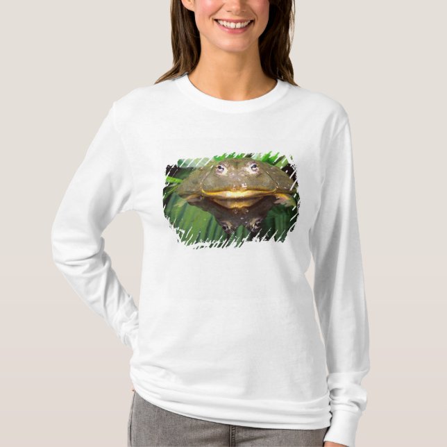 Afrikansk grävgroda, Pyxicephalus 2 Tee Shirt (Framsida)