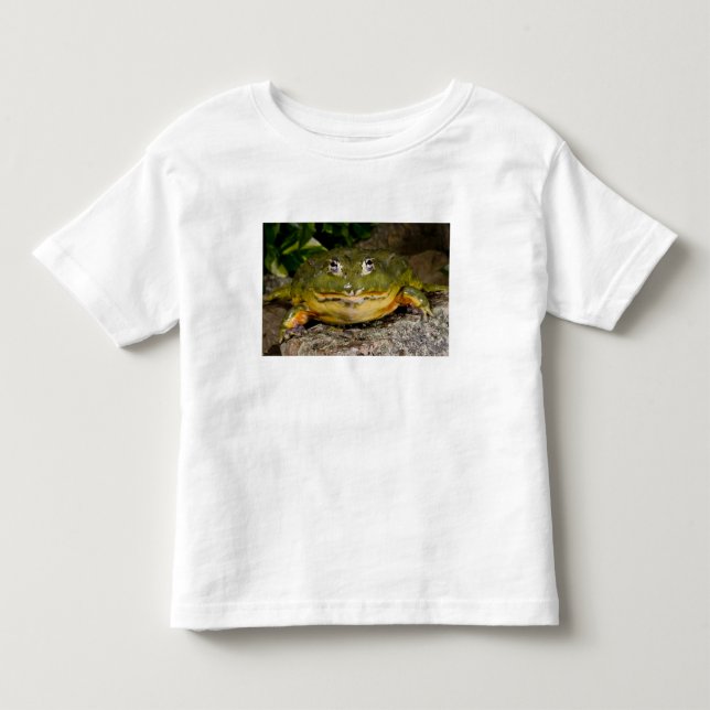 Afrikansk grävgroda, Pyxicephalus T Shirt (Framsida)